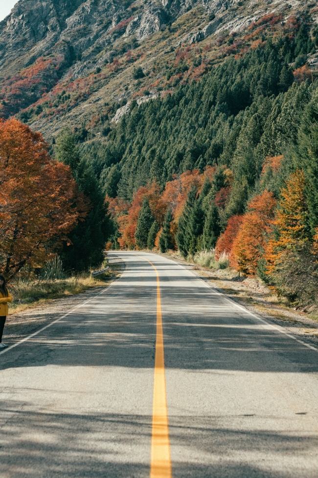 Bariloche y San Martin de los Andes