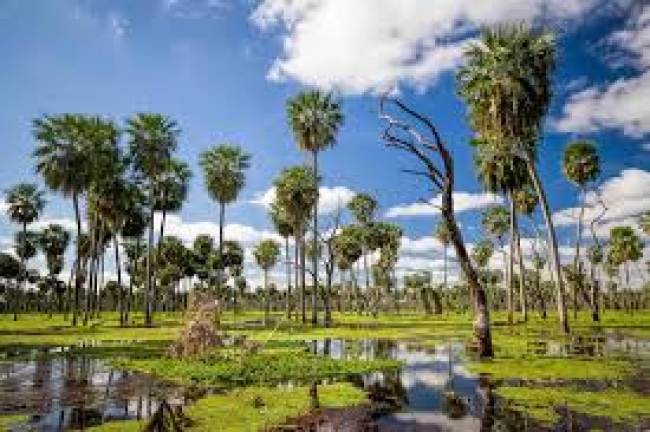 Ba�ado de la Estrella