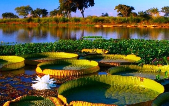 Maravillas del Litoral