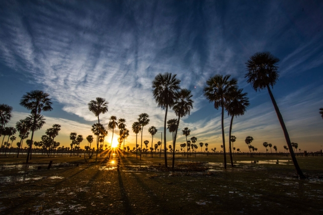 Ba�ado de la Estrella