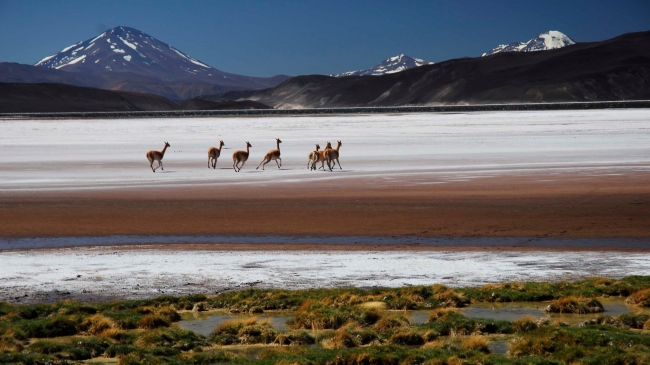 Catamarca - 21 de Agosto