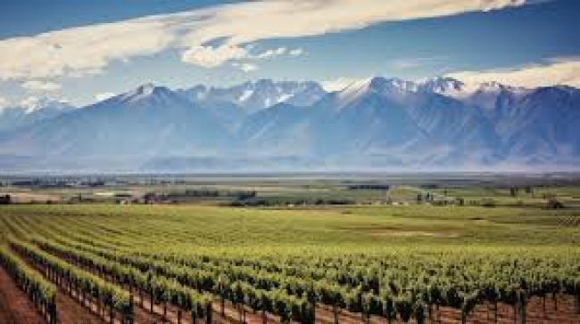 Mendoza y San Juan - 04 de Julio