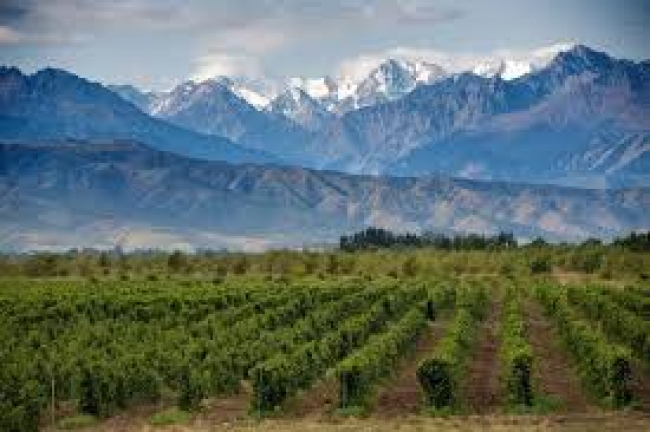 Mendoza - 08, 12, 16 Y 20 de Julio