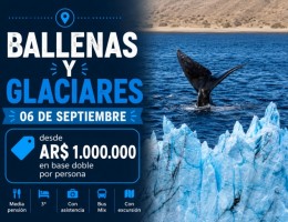 Ballena y Glaciares - 06 de Septiembre