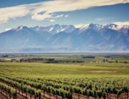 Mendoza y Vi�a del Mar